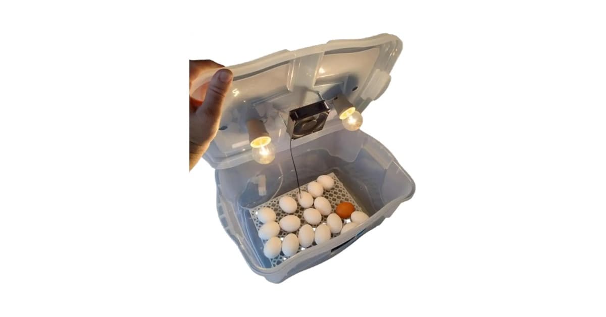 Melhor Chocadeira de Isopor: 5 Modelos com Controle Automático
