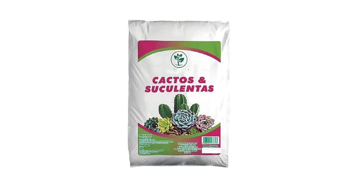 Melhor Terra para Suculentas: Guia Essencial para o Crescimento