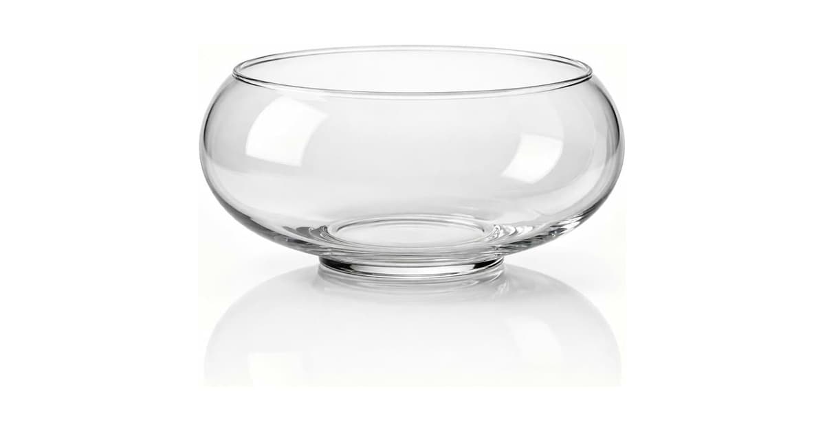 Melhor Tipo de Vaso para Suculentas: Guia Essencial