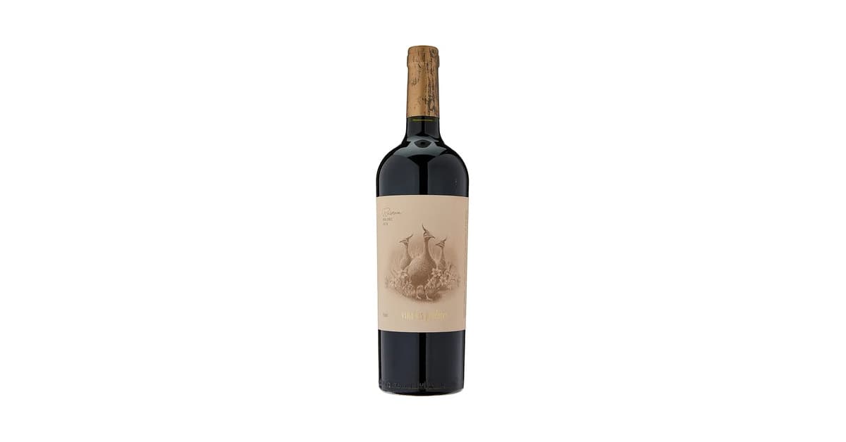 Melhor Uva Vinho Argentino: Descubra Sabores Únicos!