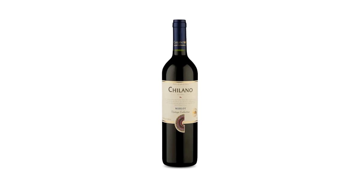 Melhor Vinho Merlot Barato: 7 Opções Deliciosas e Acessíveis