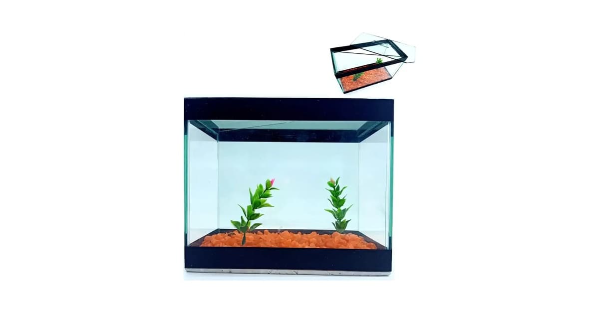 Melhor Aquário para Peixe Betta: 7 Opções Ideais para Seu Lar