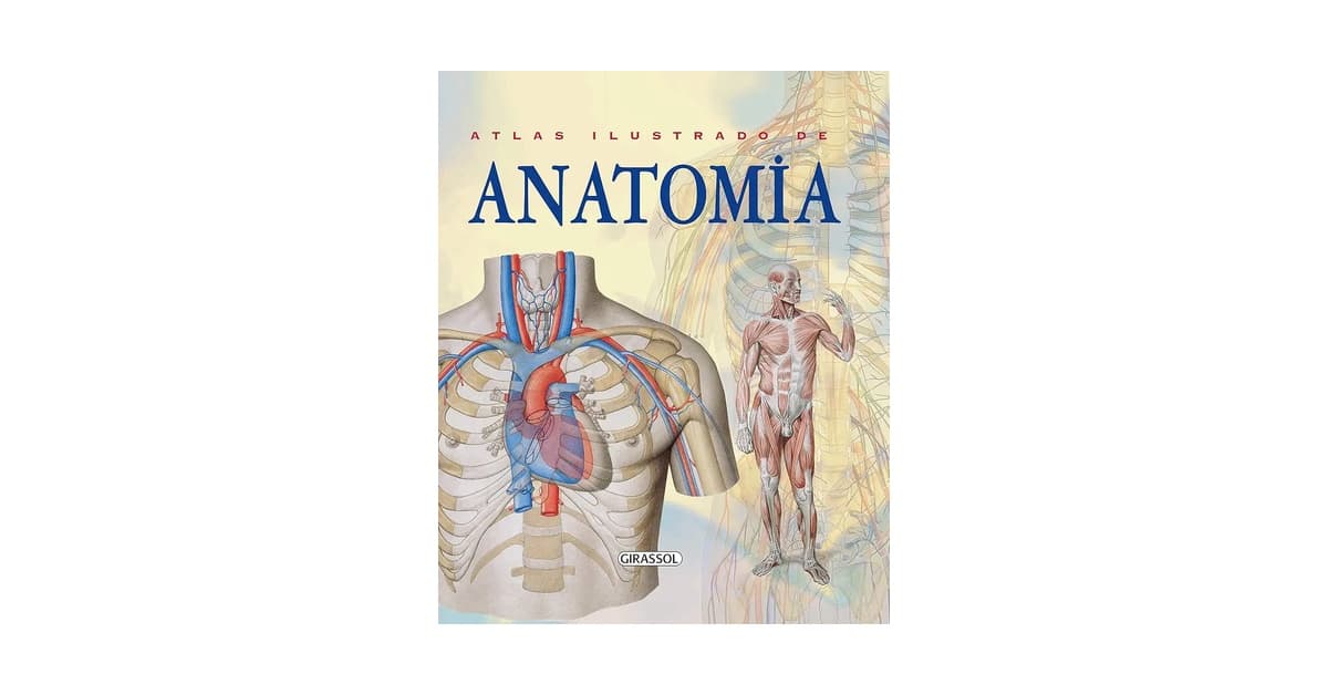 Melhor Atlas de Anatomia: 9 Obras de Referência