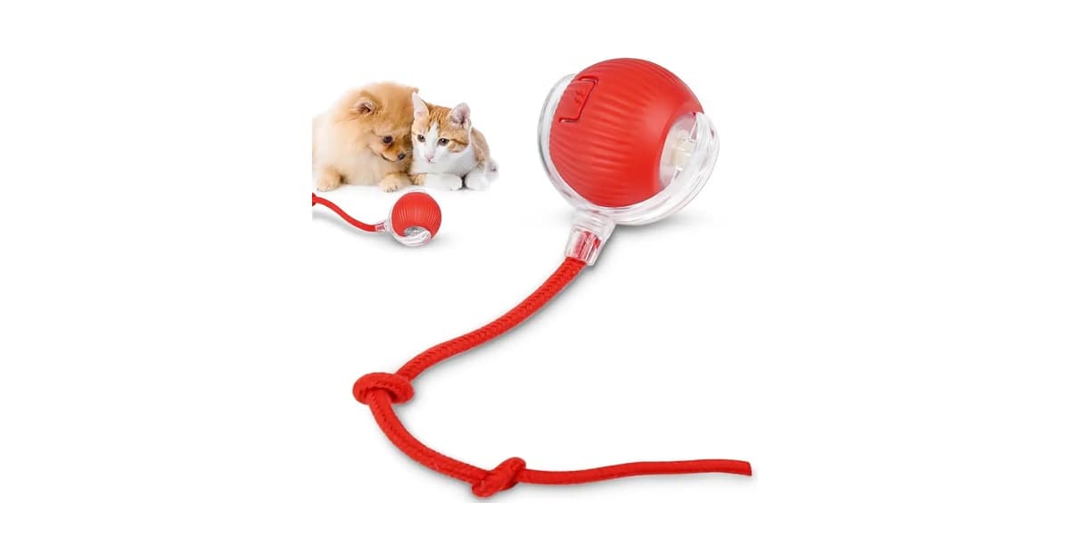 Melhor Brinquedo de Gato: 10 Opções para Instinto
