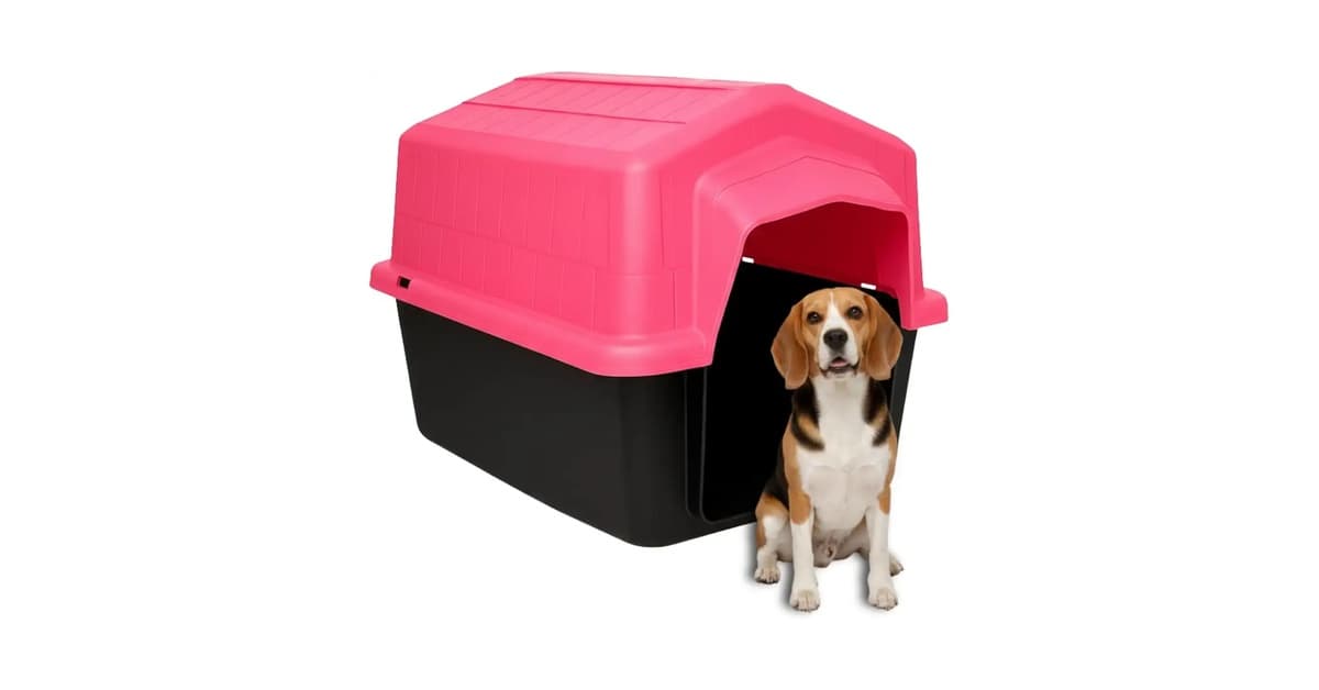 Melhor Casinha para Cachorro: Durabilidade e Conforto Garantidos
