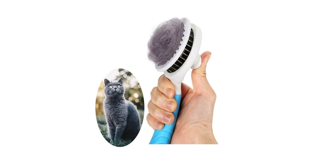 Melhor Escova para Gato: 10 Modelos para Pelagem Perfeita