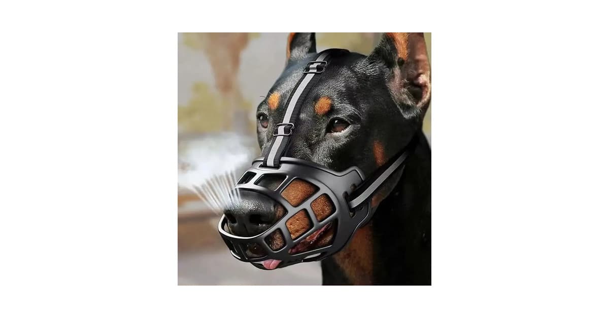 Melhor Focinheira para Cachorro: Guia Definitivo de Conforto e Segurança