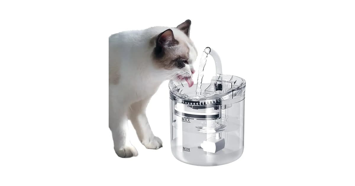 Melhor Fonte de Água para Gatos: Silenciosas e Automáticas