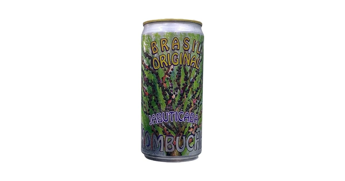 Melhor Kombucha do Brasil: Sabores Artesanais e Naturais