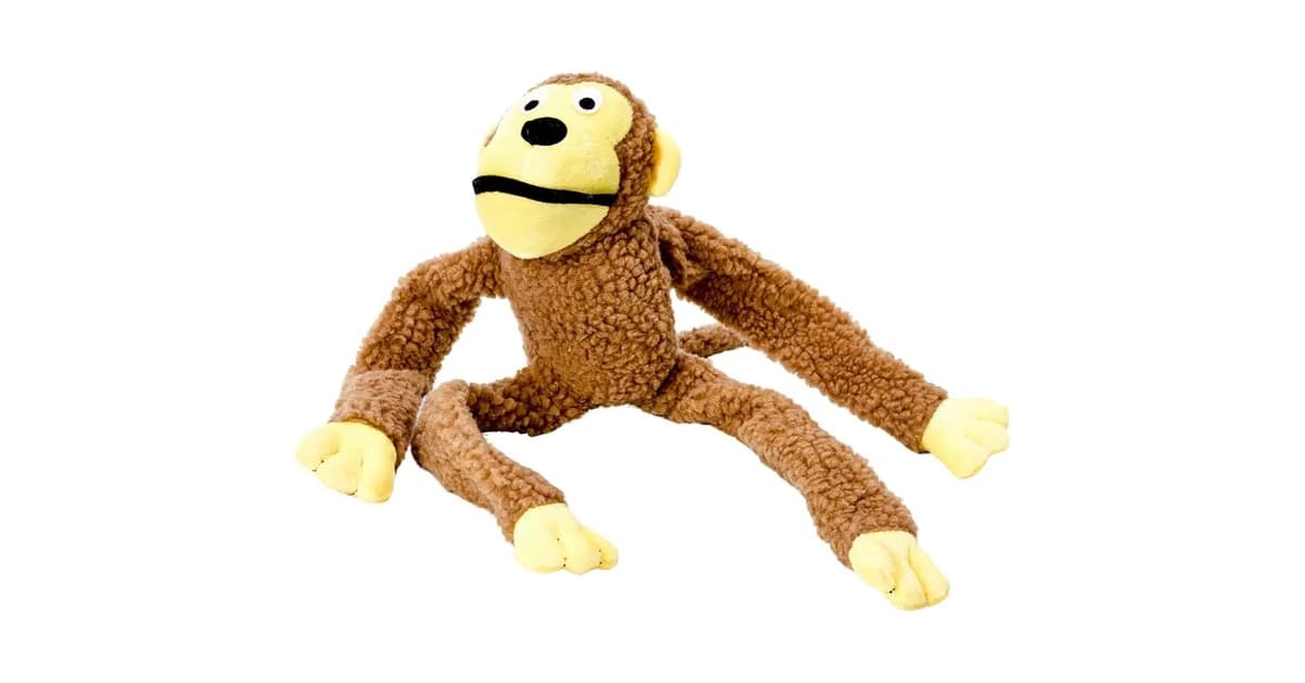 Melhor Macaco: Guia Completo com 7 Opções Essenciais