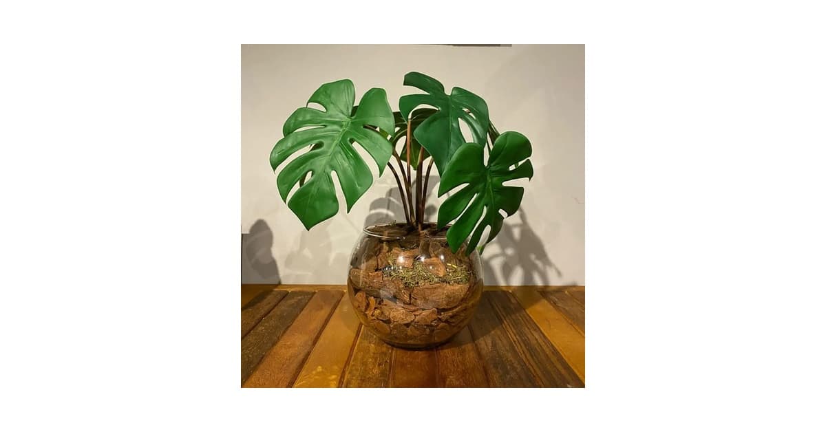 Melhor Planta para Mesa de Jantar: 7 Opções Artificiais Deslumbrantes