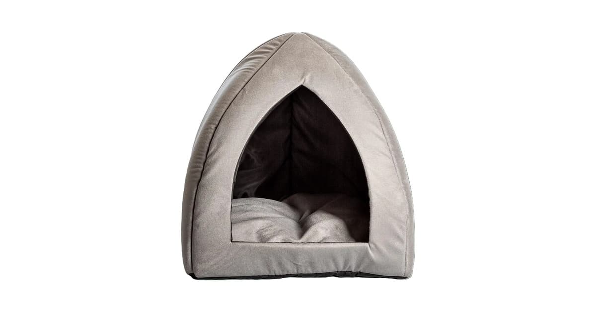 Melhor Tipo de Cama para Cachorro: Conforto e Durabilidade Garantidos
