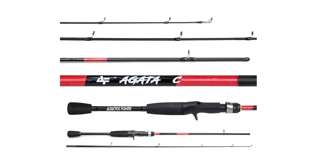 Melhor Vara de Pesca para Carretilha: Guia Essencial