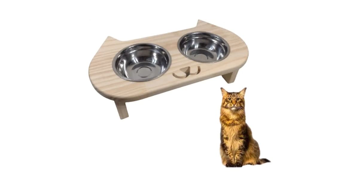 Melhor Vasilha para Gato: 10 Modelos Ergonômicos