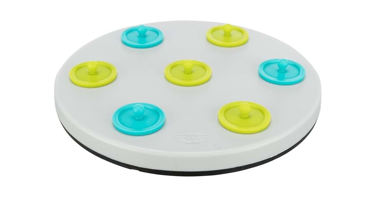Qual Melhor Brinquedo para Coelhos: Diversão e Segurança Garantida!